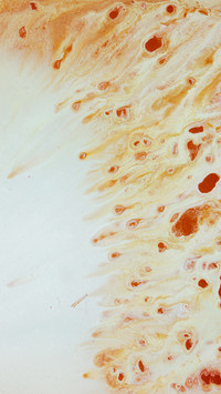 Artistic acrylic brush texture decorative painting