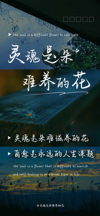 灵魂是朵难养的花