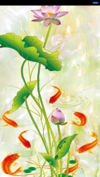 鱼戏莲池