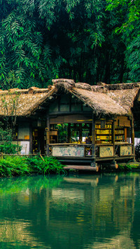 古诗词中寻夏日美景
