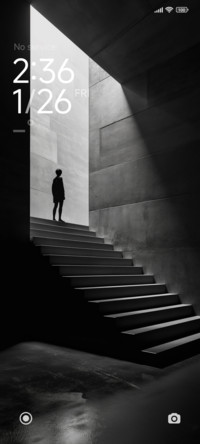 Gray ladder