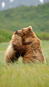 The heaviest animal in the world 76