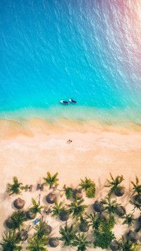 海水为何不易结冰