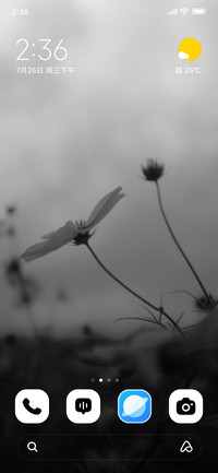 Grey Petals