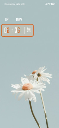 Flower Beauty