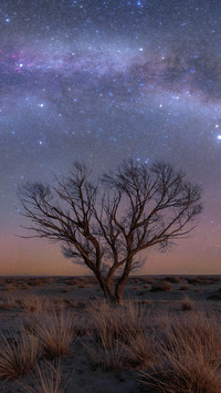 If the speed of light becomes infinite 63