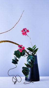 How to learn flower arrangement 9