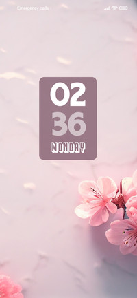 Cherry blossoms