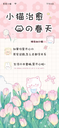 小猫治愈我的春天
