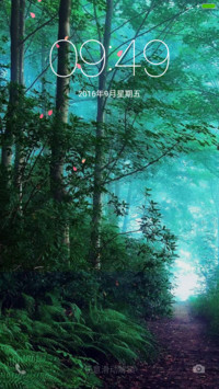 小树林（好评抽红包）