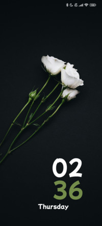 Three Roses