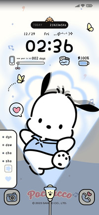 Pochacco flash