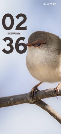 Soft Robin