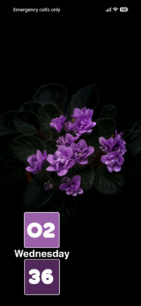 Flower Bloom