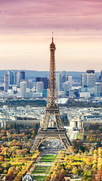 Eiffel Tower 46