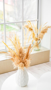 Vase with pampas grass on table in living room