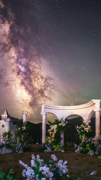A wedding under the starry sky