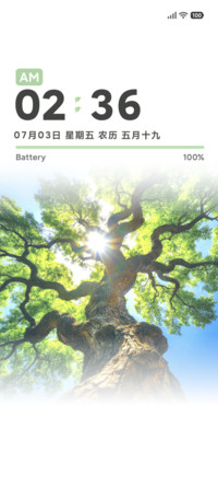 春日氛围 新生