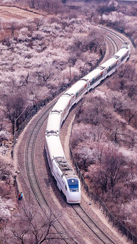 The railway in flowers
