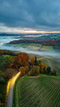 The hill in the fog