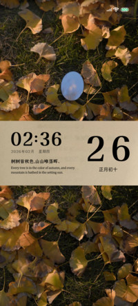 思念季 梧桐意