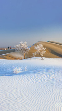 The miracle of glaze in the xinjiang desert