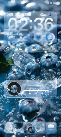 冰冻蓝莓多换图