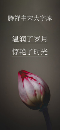腾祥书宋大字库