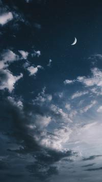 星月温柔