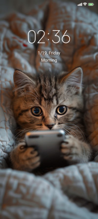 Playful Cat