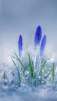 Cold dew turns white and doesnt feel cool 71