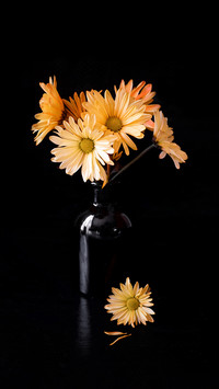 What basic knowledge should I know to learn flower arrangeme