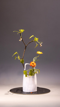 Flower Arrangement Art against Dark Background