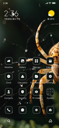 Spider
