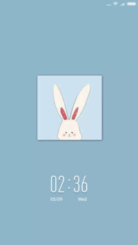 rabbit【TT】