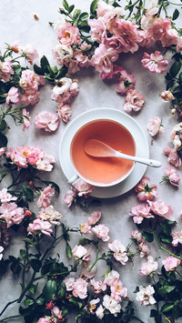 花茶密语