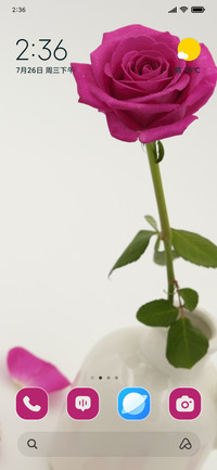 Blooming Delight