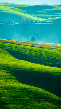 Green fields