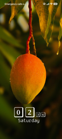 Tropical Dew