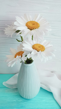 Plants that can be used as raw materials for perfume 36