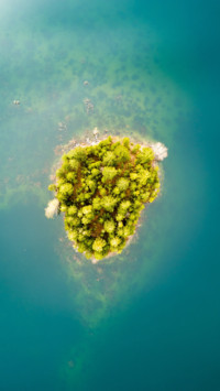 Earth From Above 2  (15)
