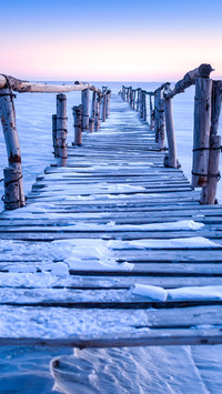 The frozen plank bridge