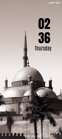 Graceful Mosque
