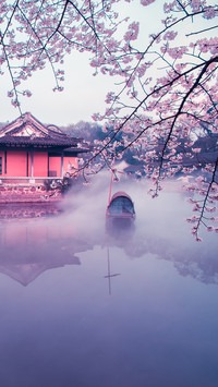 无锡樱花谷