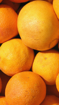 fruit