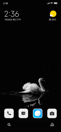 Swan