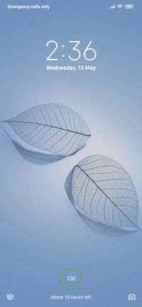 Leaf White_V10