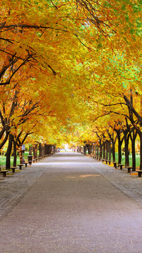 Autumn style