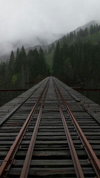 路上的风景