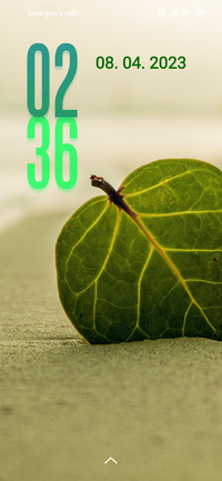 beach leaf